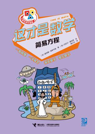 这才是数学·简易方程